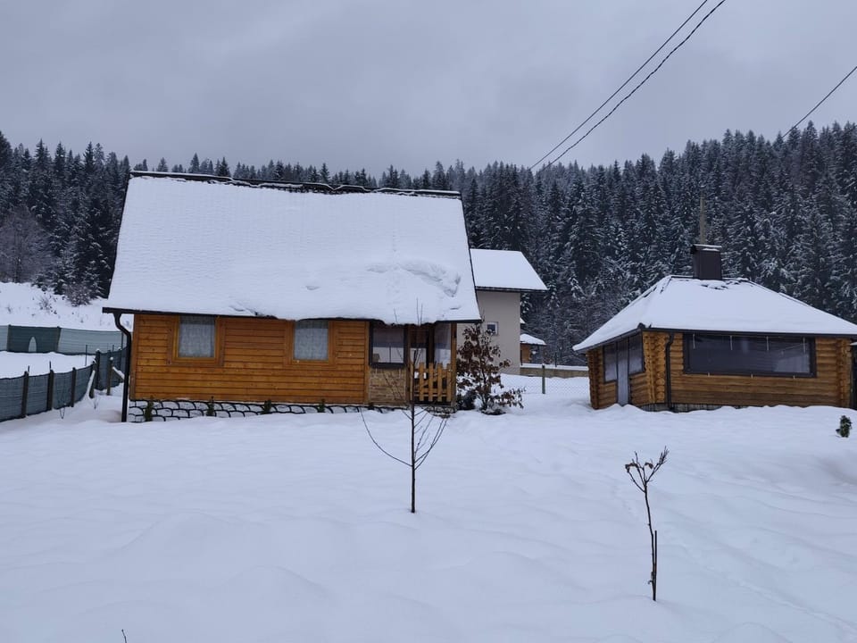Vikendica-Brvnara Pine House in Bosnia and Herzegovina