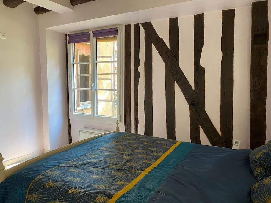 Charmant appartement - centre Cité Plantagenet!!! Apartment in Le Mans