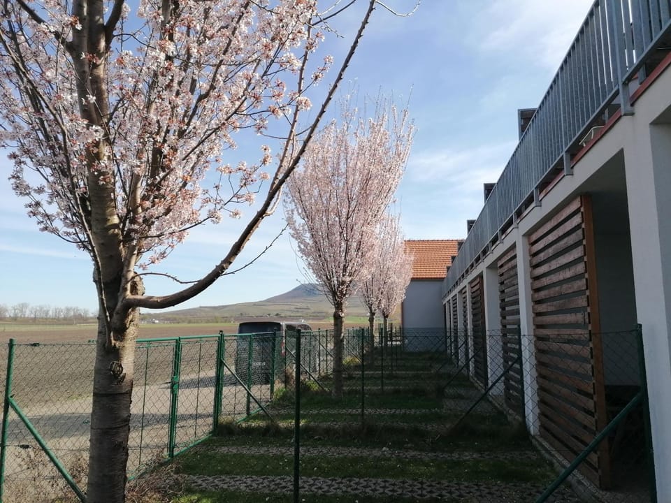 Spring, Garden, Garden view