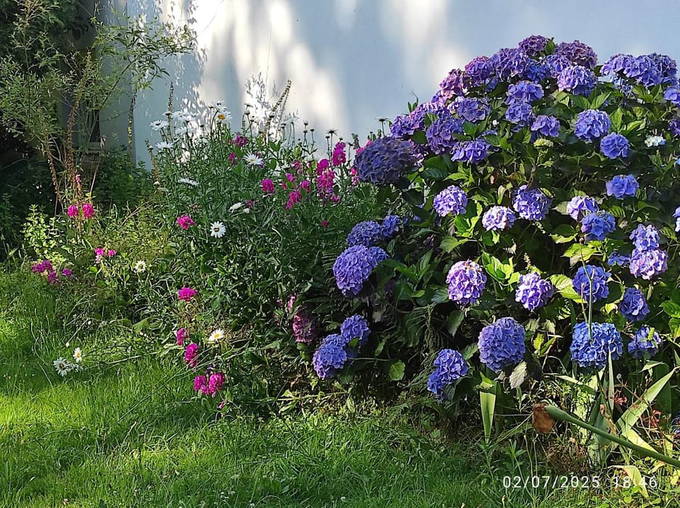 Spring, Day, Garden, Garden view