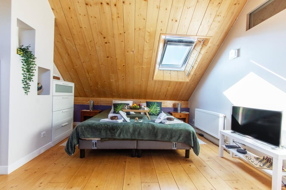 Bed, TV and multimedia, Photo of the whole room, Evening entertainment, Bedroom, internet