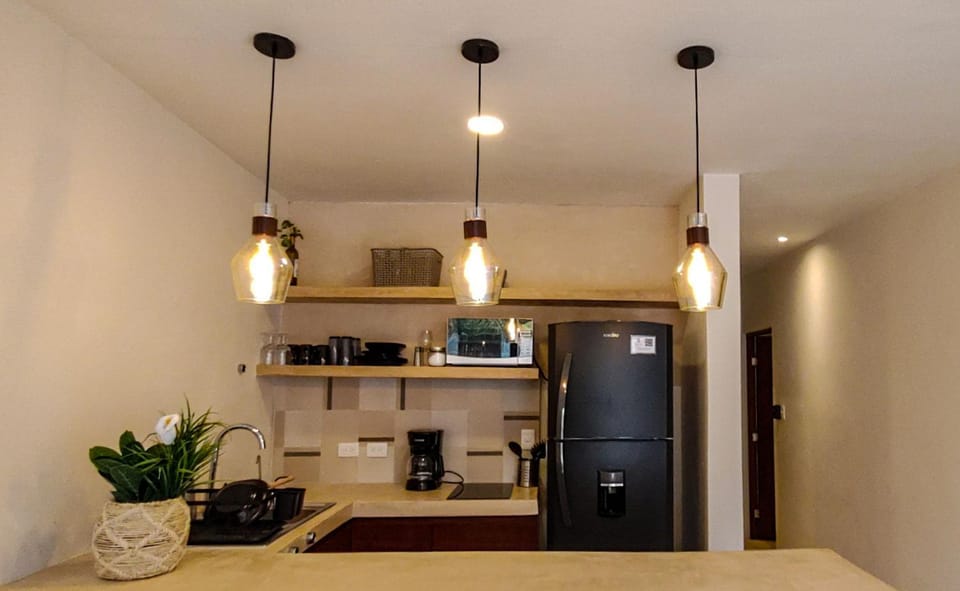 Kitchen or kitchenette, minibar, pet friendly