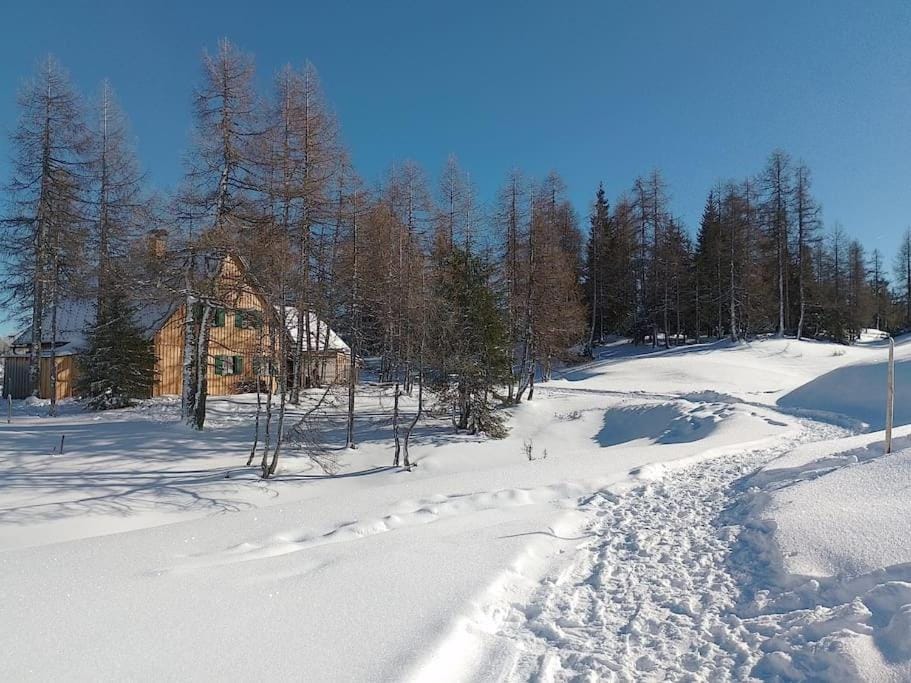 Natural landscape, Winter