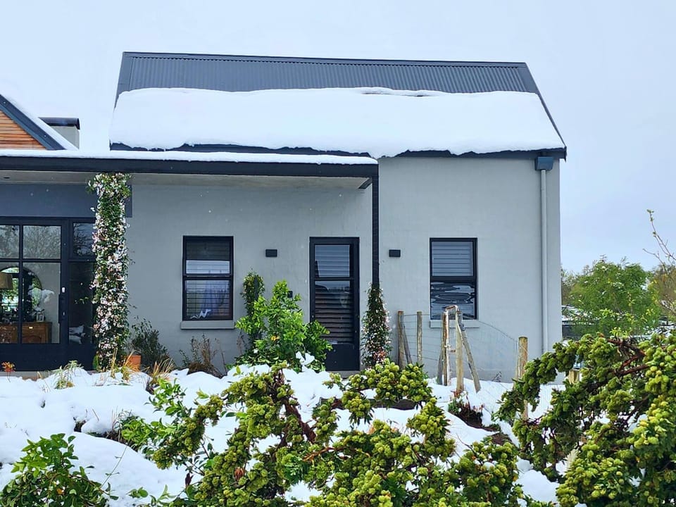 Winter, Garden view