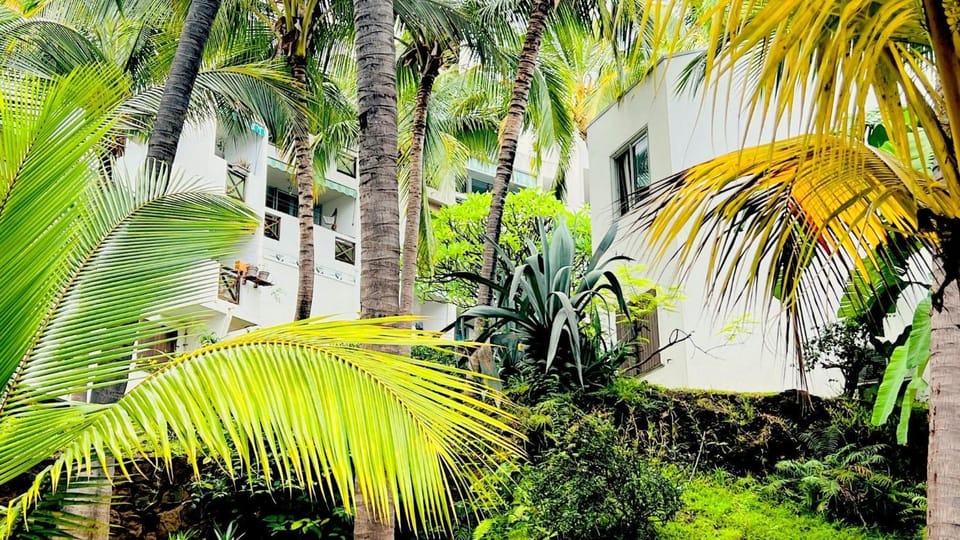 Property building, Garden