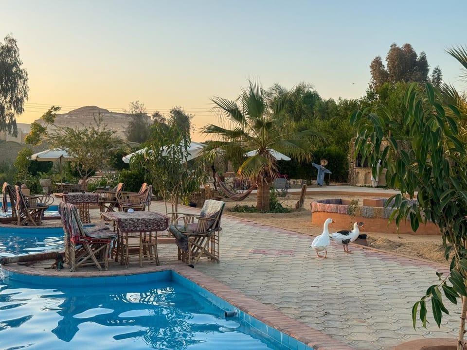 Mountain view, Pool view