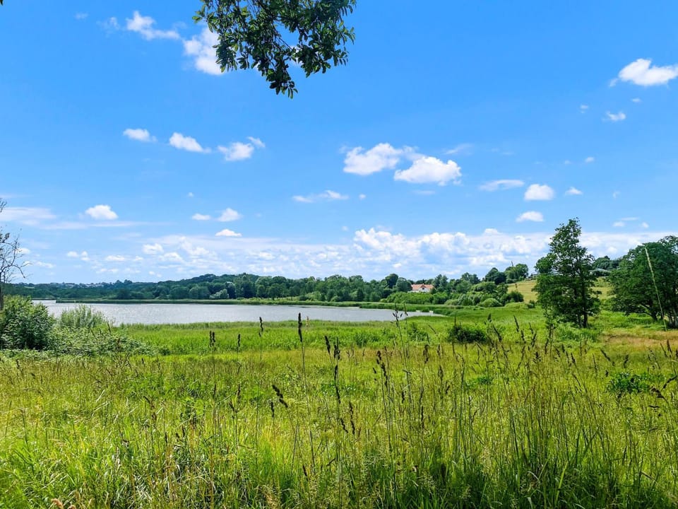 Natural landscape, Garden