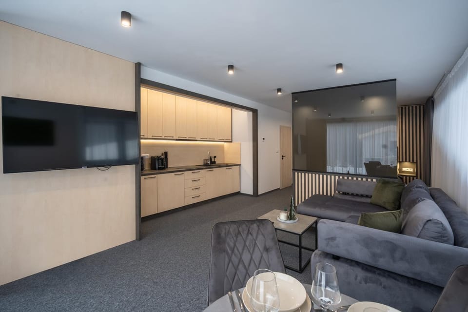 TV and multimedia, Kitchen or kitchenette, Living room, Seating area, minibar, stove