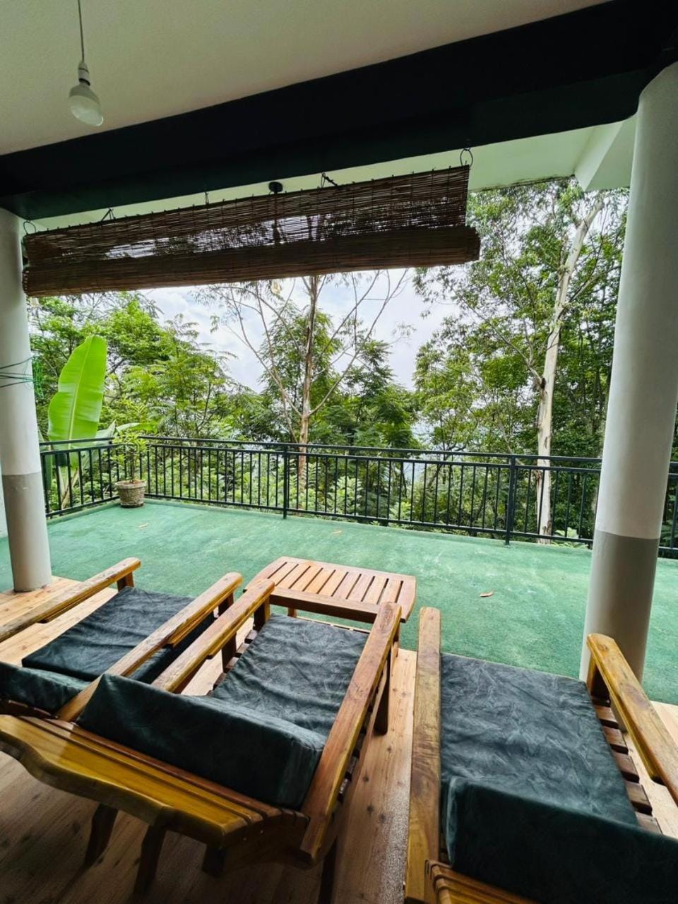 Patio, Garden view