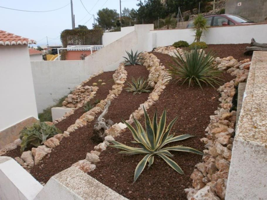Garden, Garden, Garden view