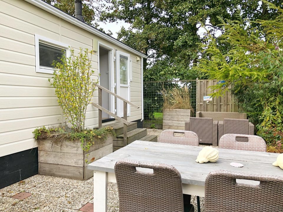 Patio, Garden