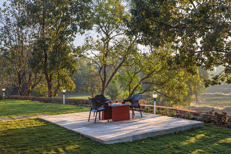 Day, Natural landscape, Garden, Dining area, Garden view
