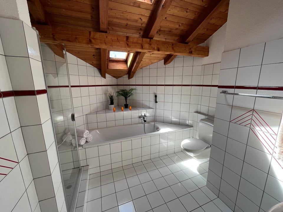 Shower, Toilet, Bathroom, Bath, towels