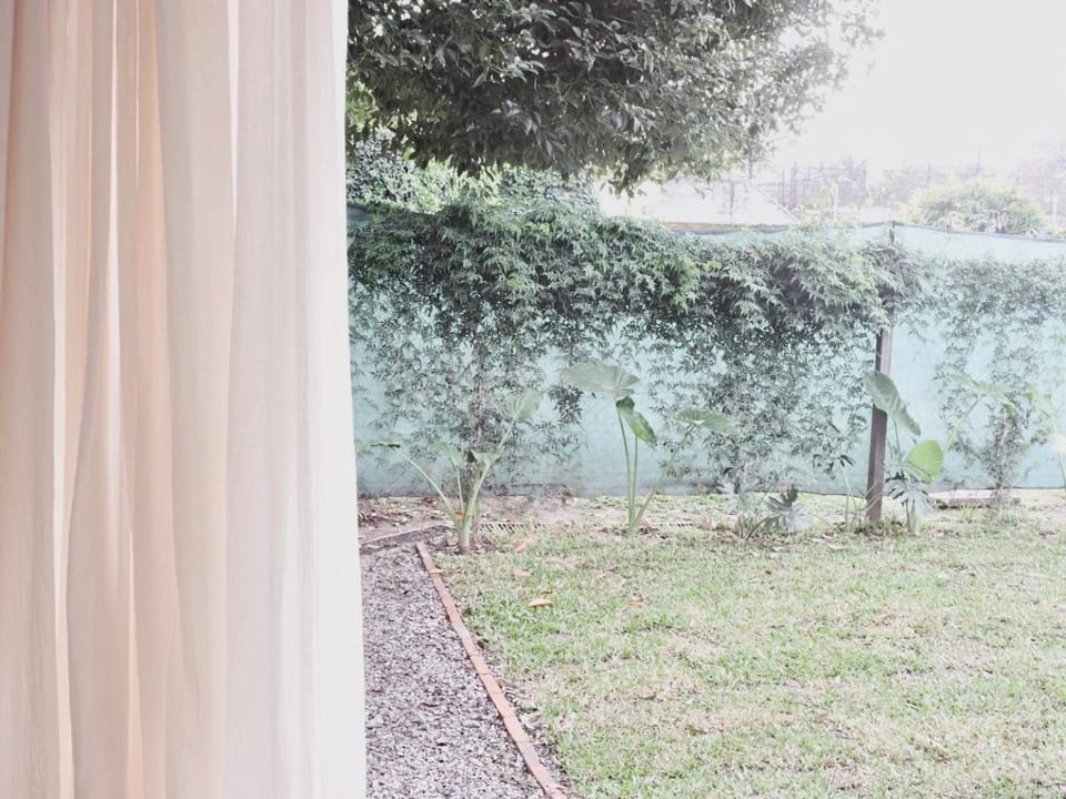 Garden view