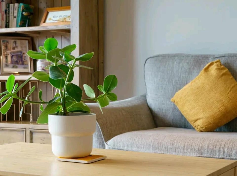 City Views Apartment Apartment in Belfast