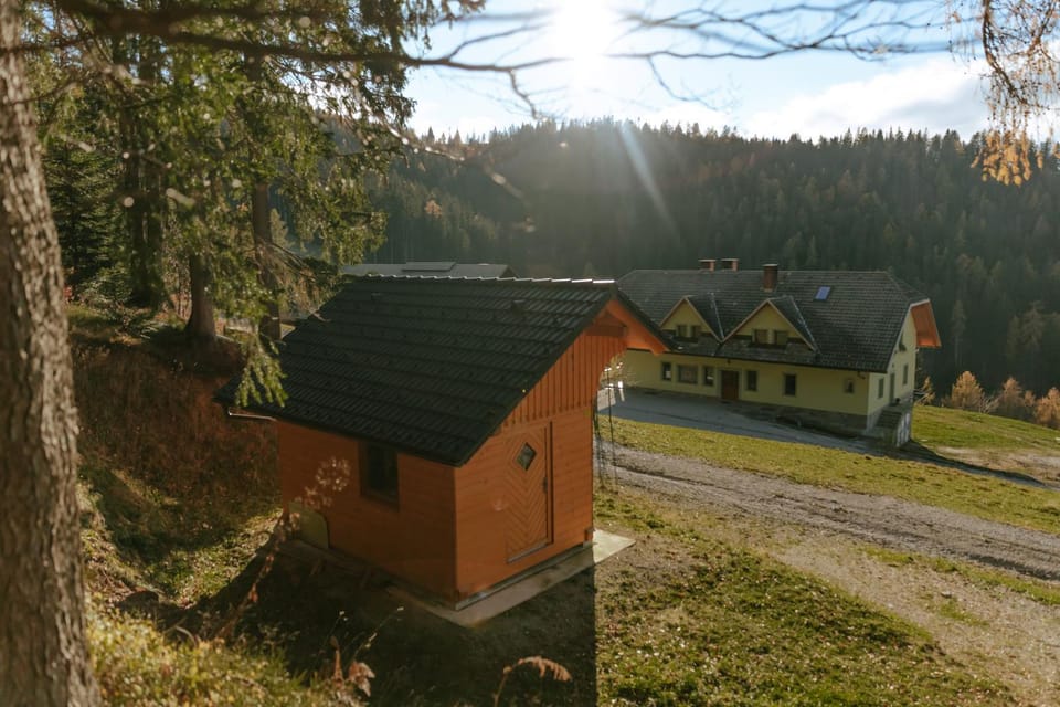 Property building, Day, Natural landscape, Animals