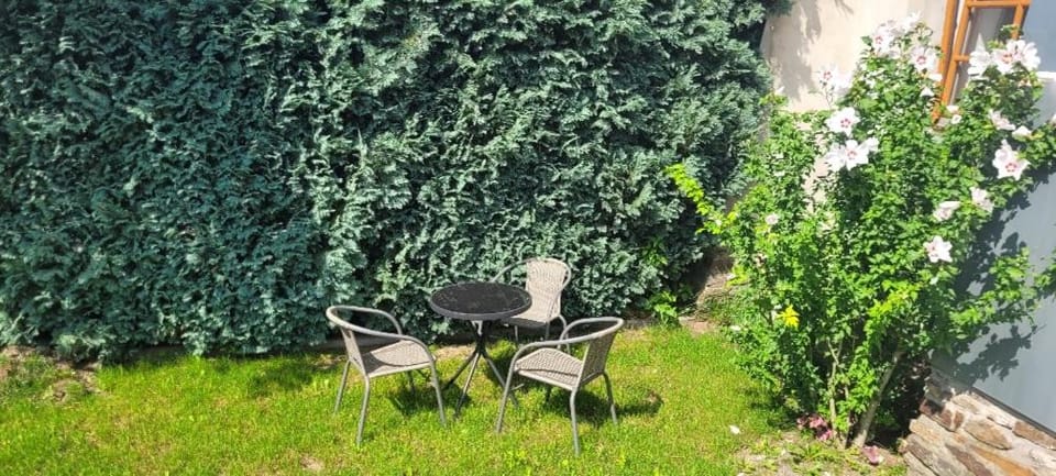 Garden, Seating area, Garden view