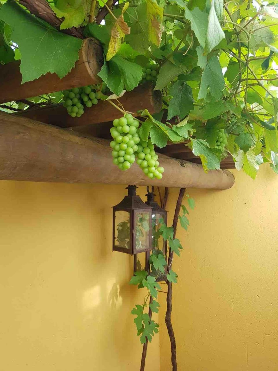 Patio, Balcony/Terrace
