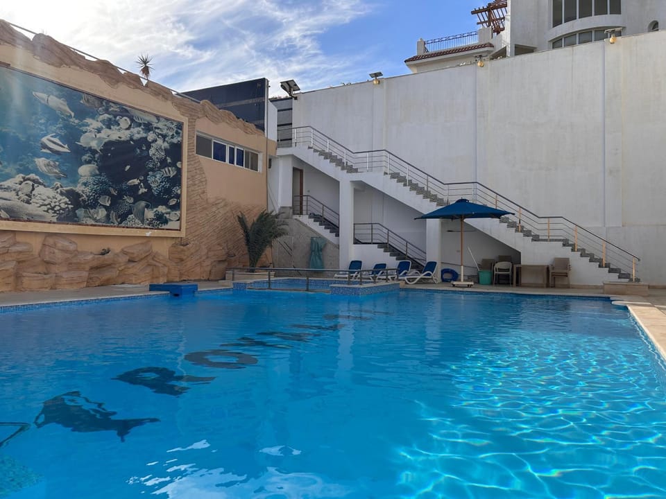 Day, Pool view, Swimming pool, sunbed