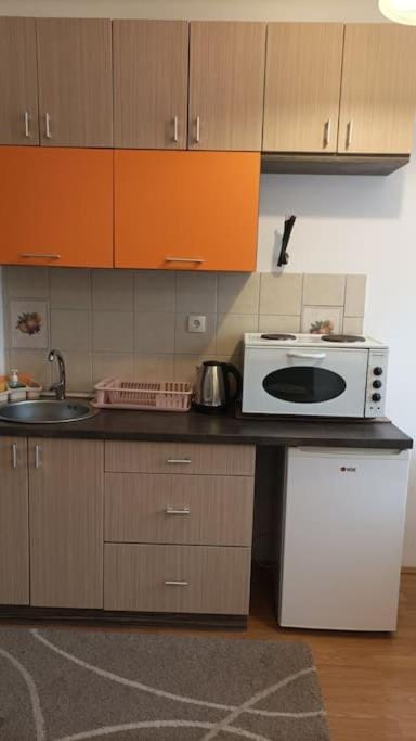 Olivera Divčibare Apartment in Zlatibor District, Serbia