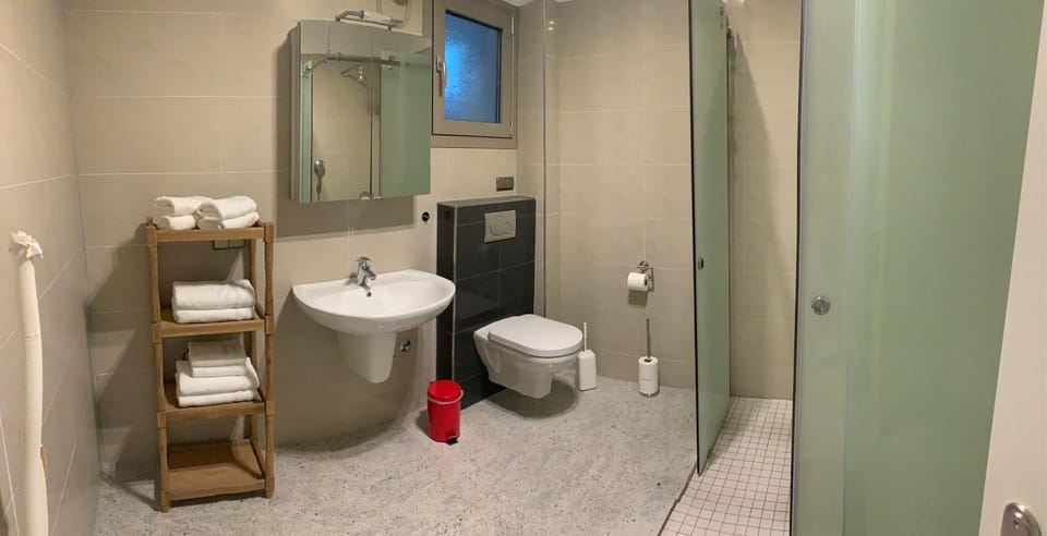 Shower, Toilet, Bathroom, towels