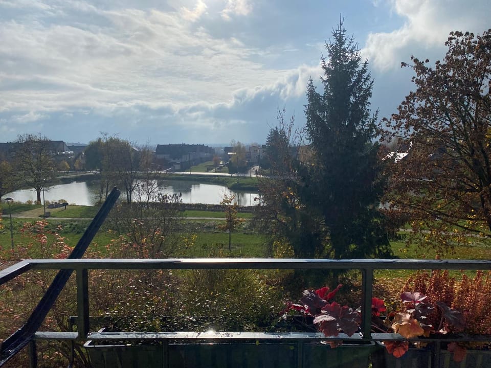 Lake view