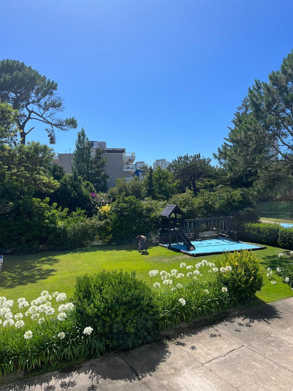 Natural landscape, Garden, Garden view, Swimming pool