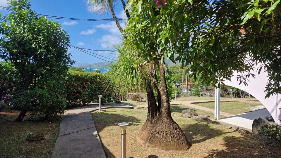 Garden, Garden view