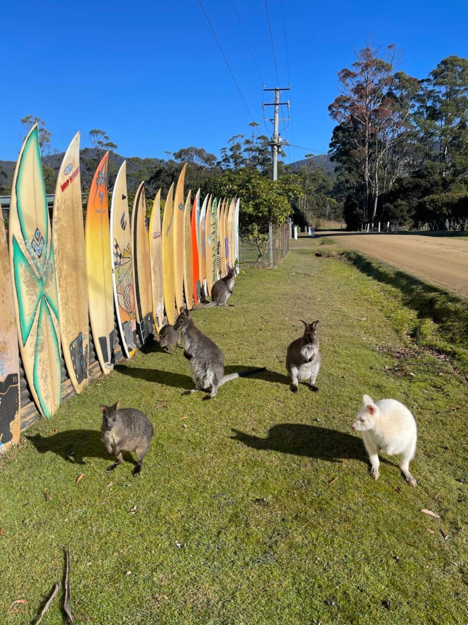 NOFOMO AT ADVENTURE BAY House in South Bruny