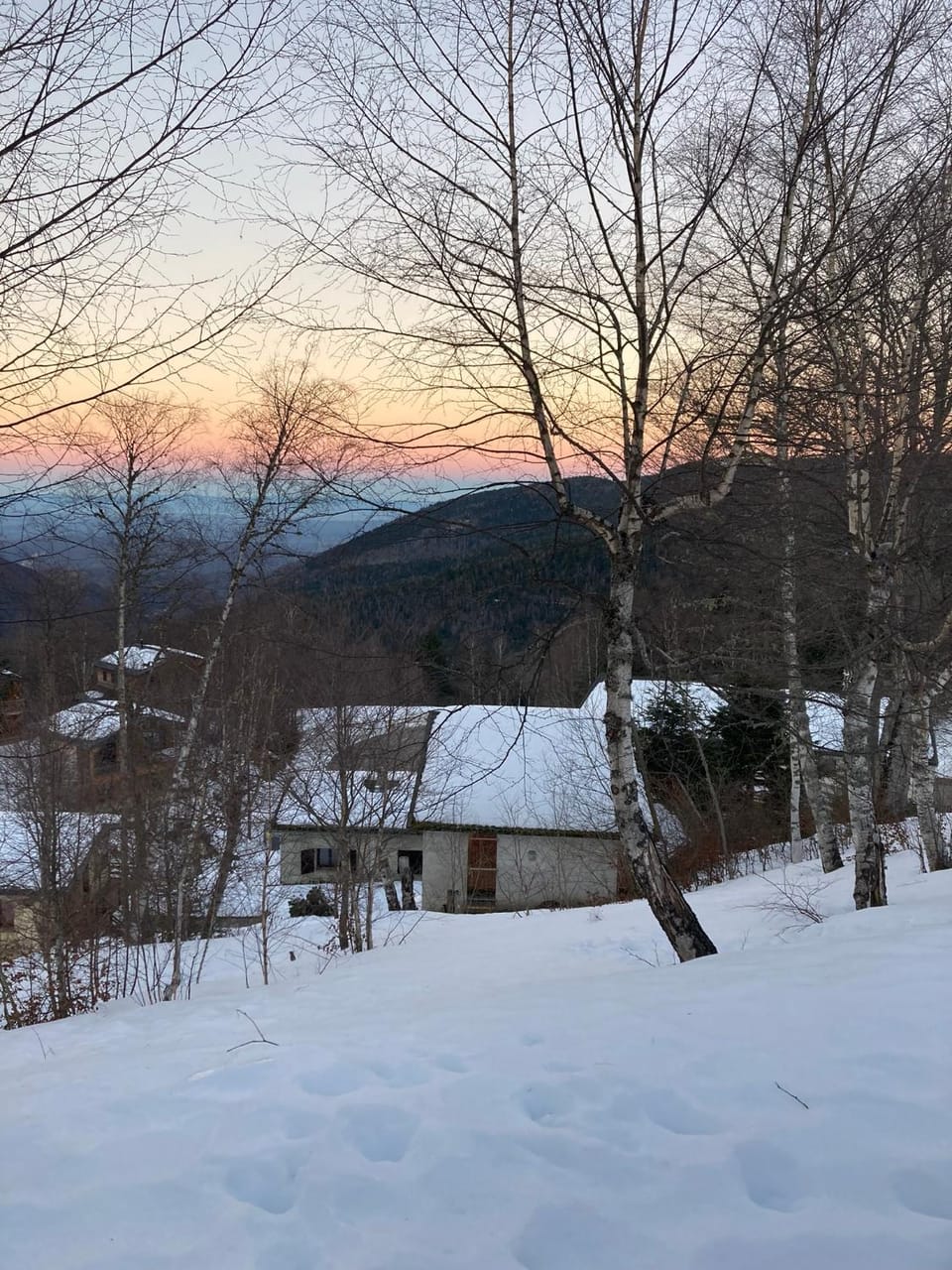 Winter