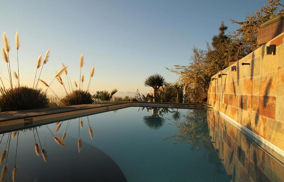 Day, Pool view, Swimming pool, Swimming pool