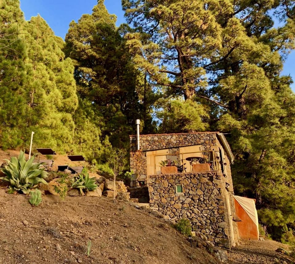 Day, Garden, Garden view