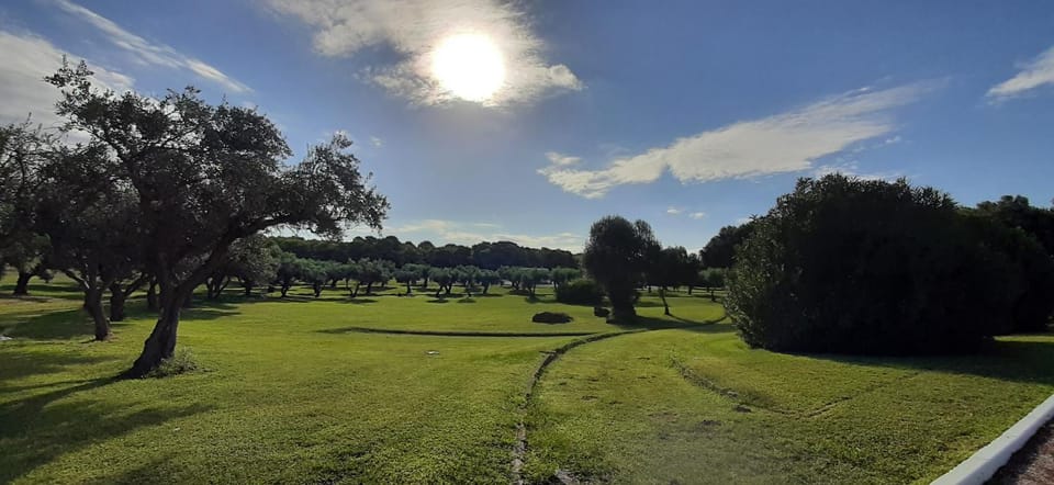Spring, Natural landscape, Activities, Other, Cycling, Area and facilities, Sports, Entertainment