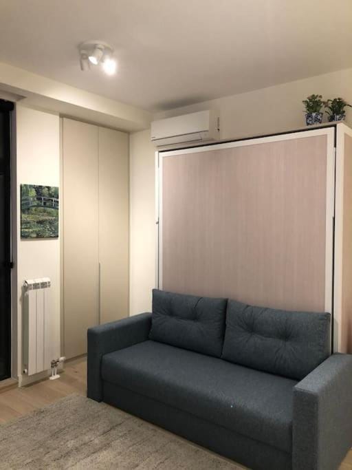 Lovely BW Metropolitan studio Apartment in Belgrade