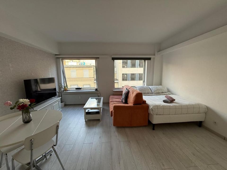 Lovely condo next to European Area House in Brussels