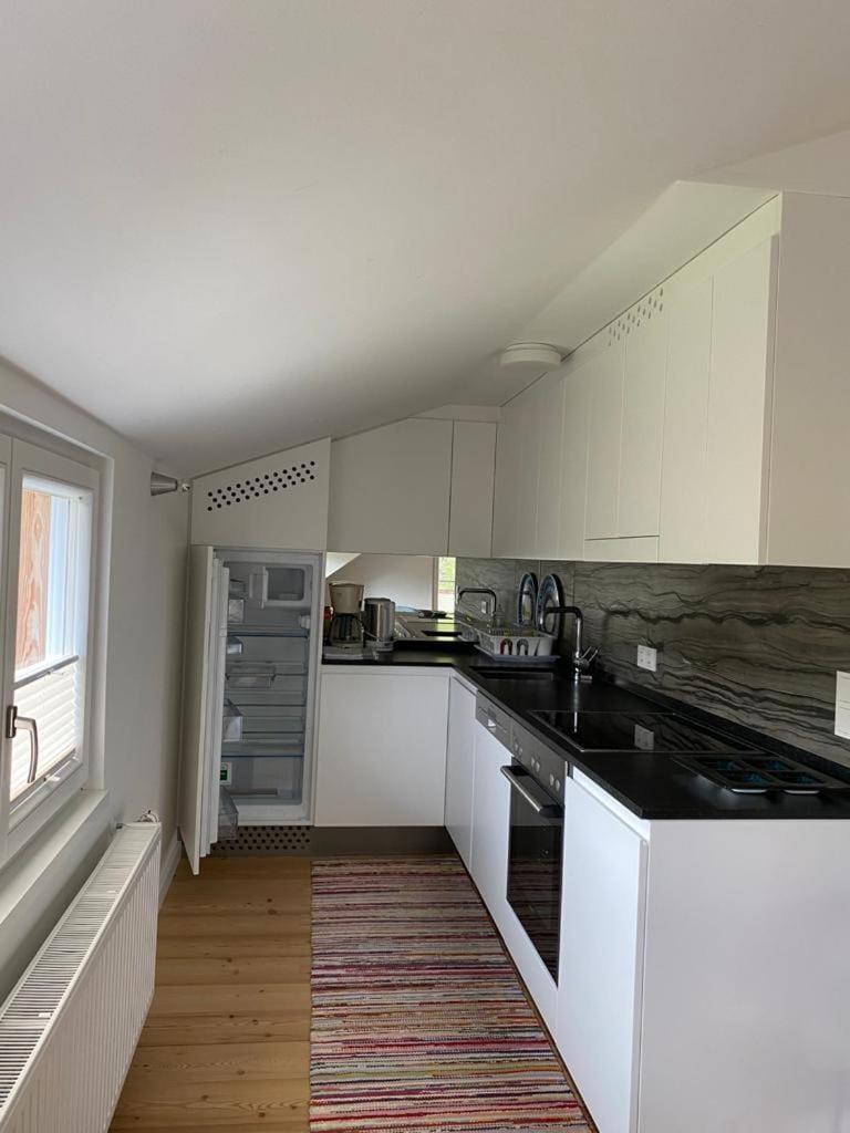 Kitchen or kitchenette, dishwasher, stove