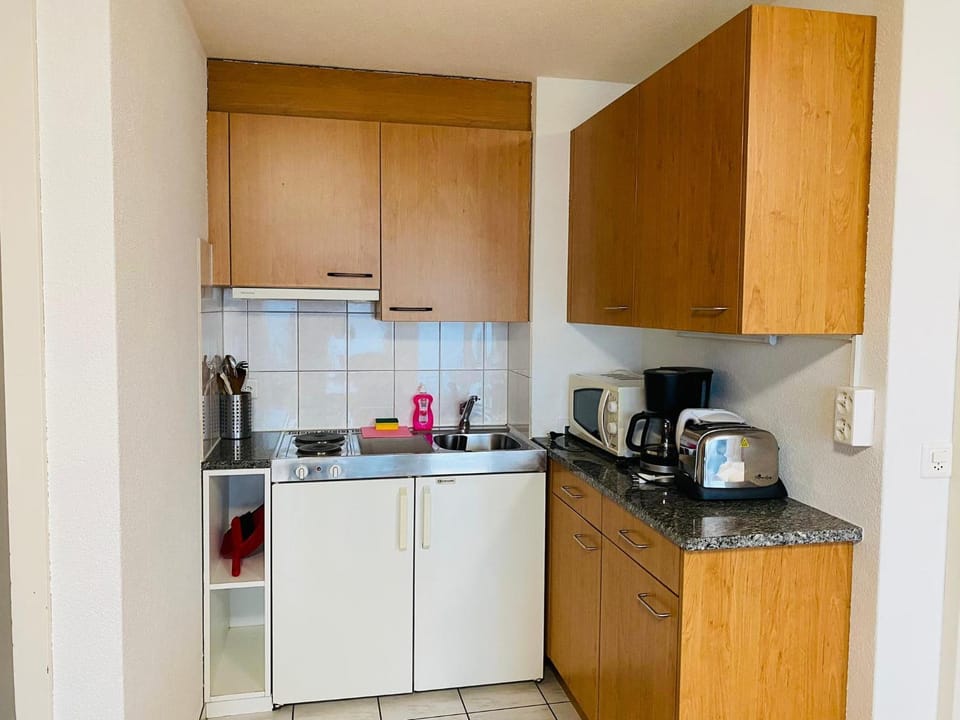 Lake facing Studio Apartment in Canton of Bern (Region)