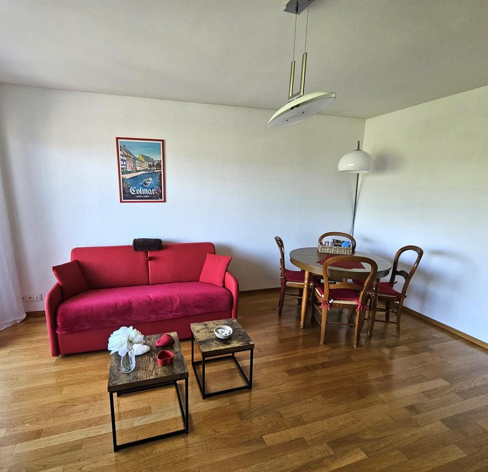 Le VI Apartment in Colmar