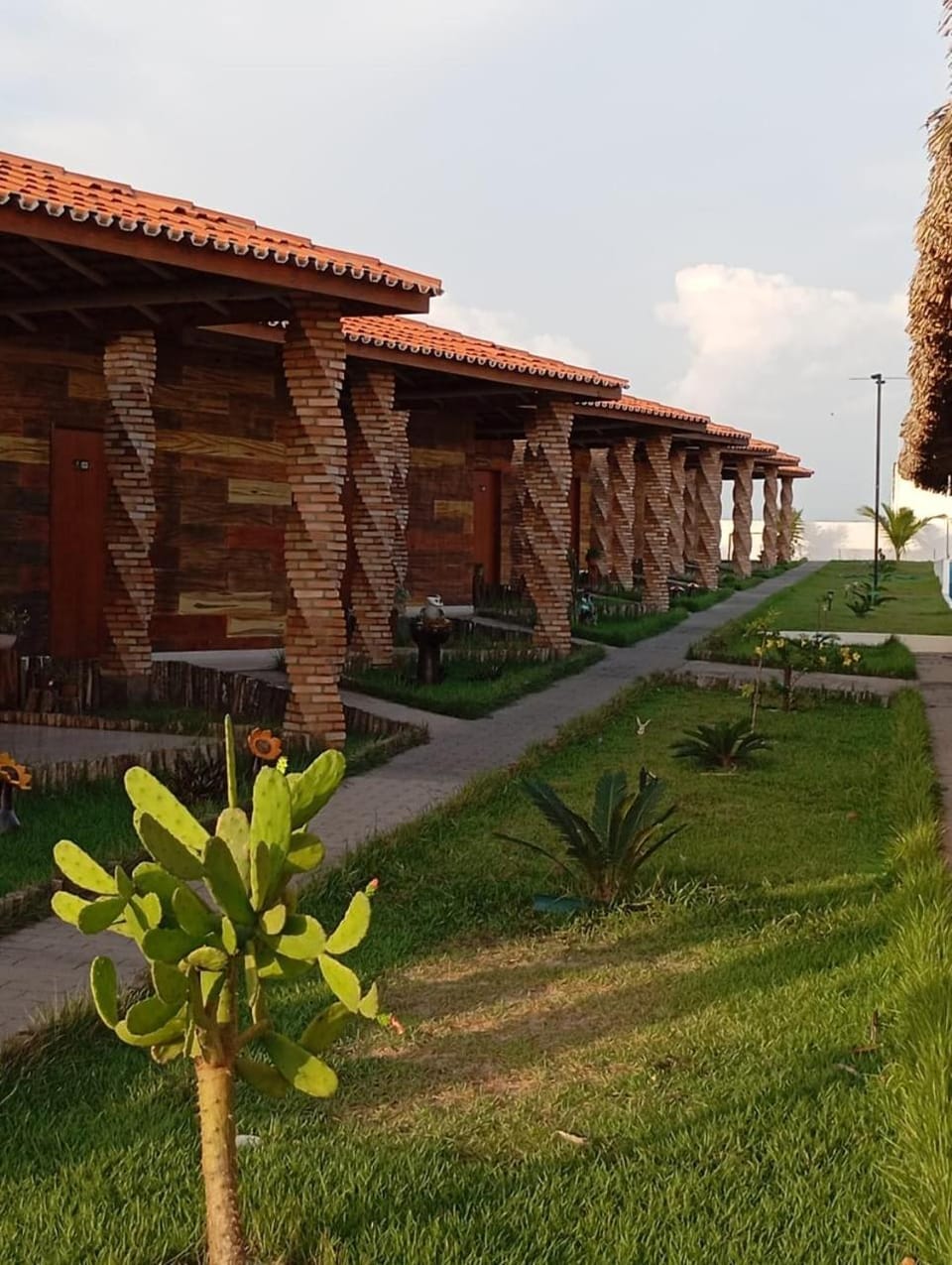 Garden view