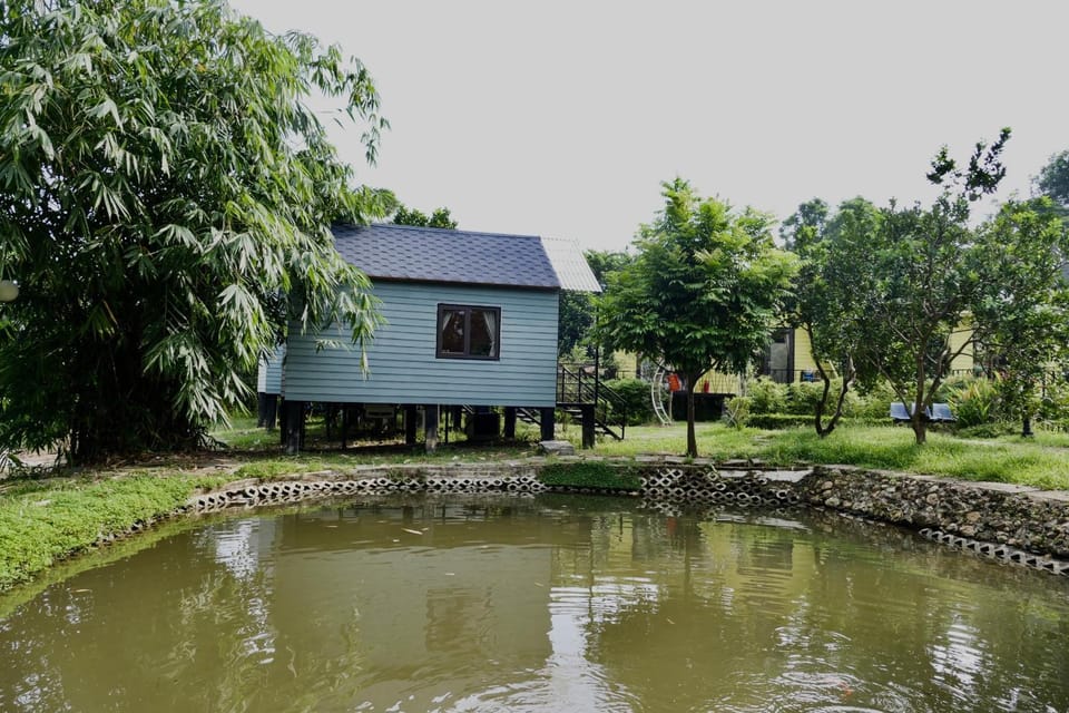 Lake view