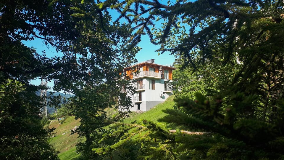 Property building, Natural landscape, Summer, Time of day