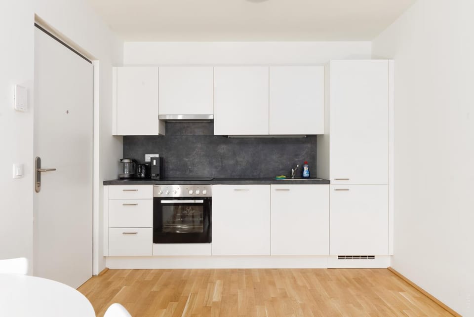 Kitchen or kitchenette, dishwasher, stove