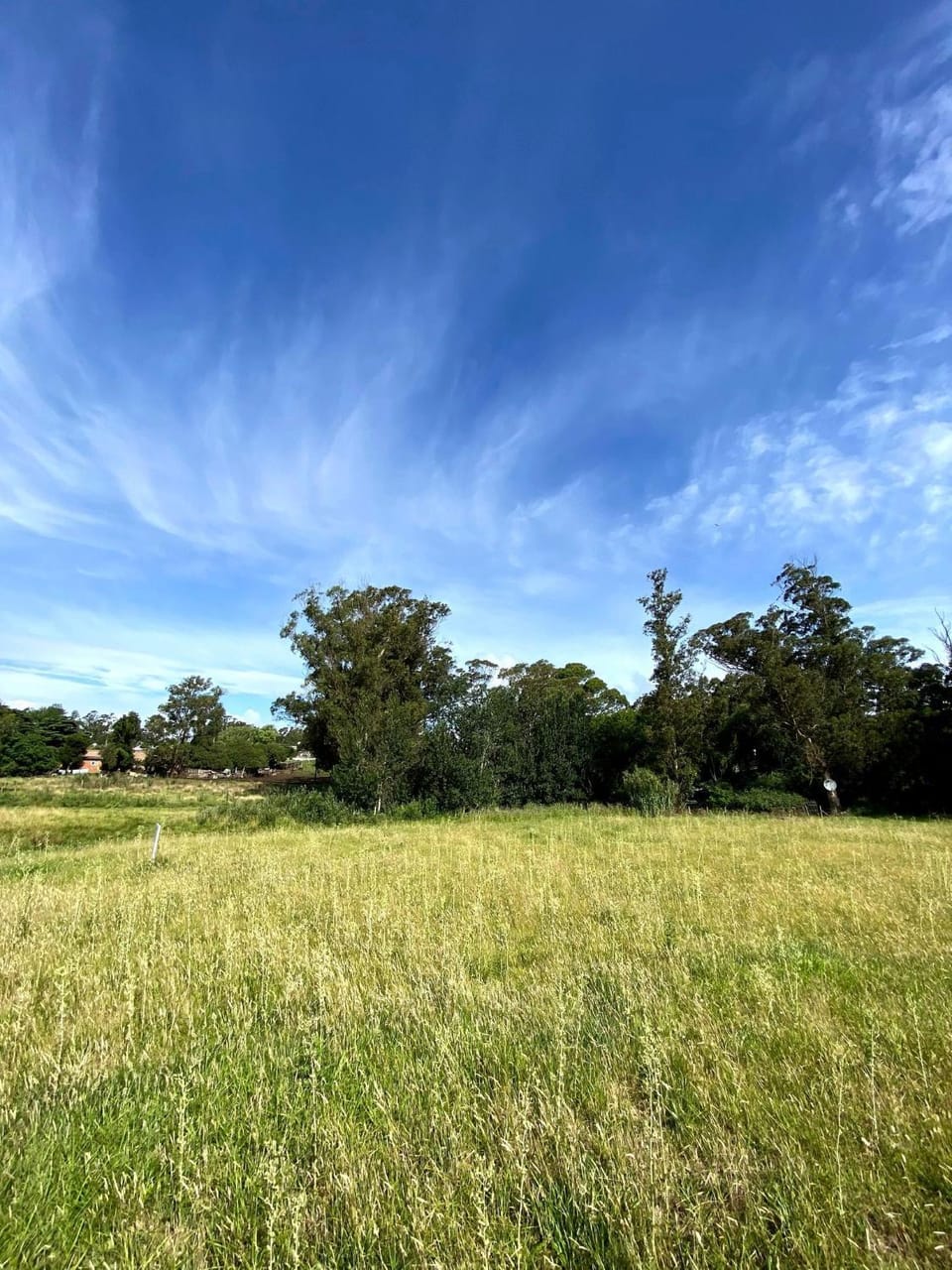 Off site, Natural landscape