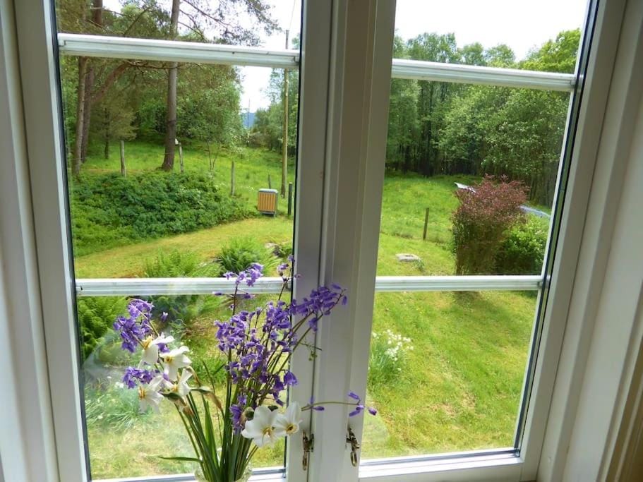Garden view