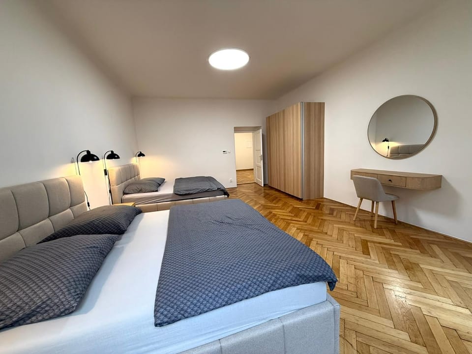 Spacious Apartment on Wenceslas Square Apartment in Prague