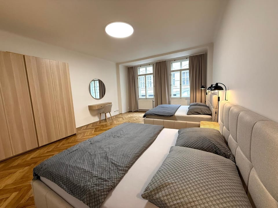 Spacious Apartment on Wenceslas Square Apartment in Prague