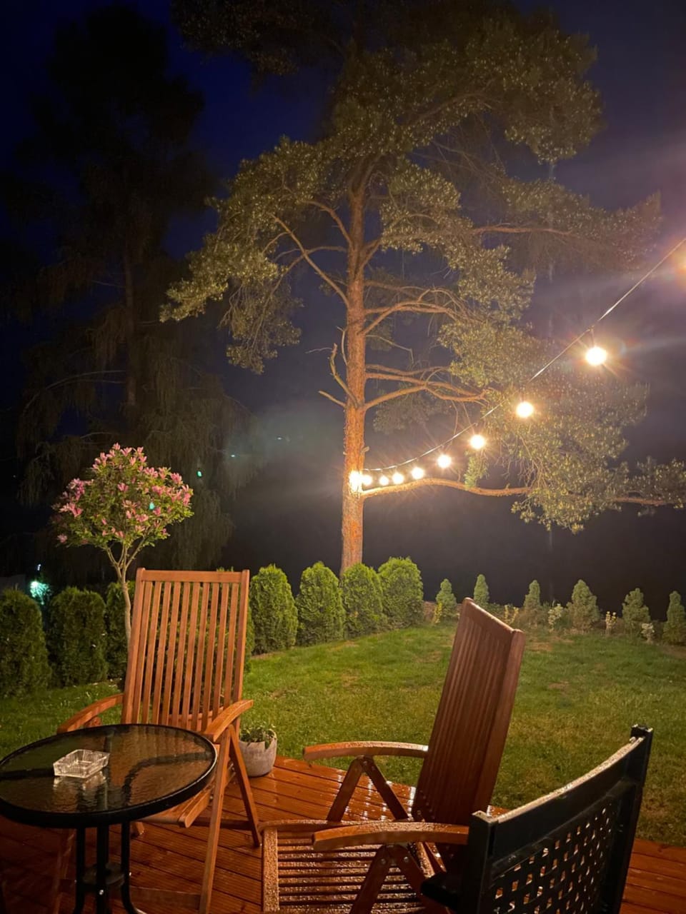 Night, Garden view
