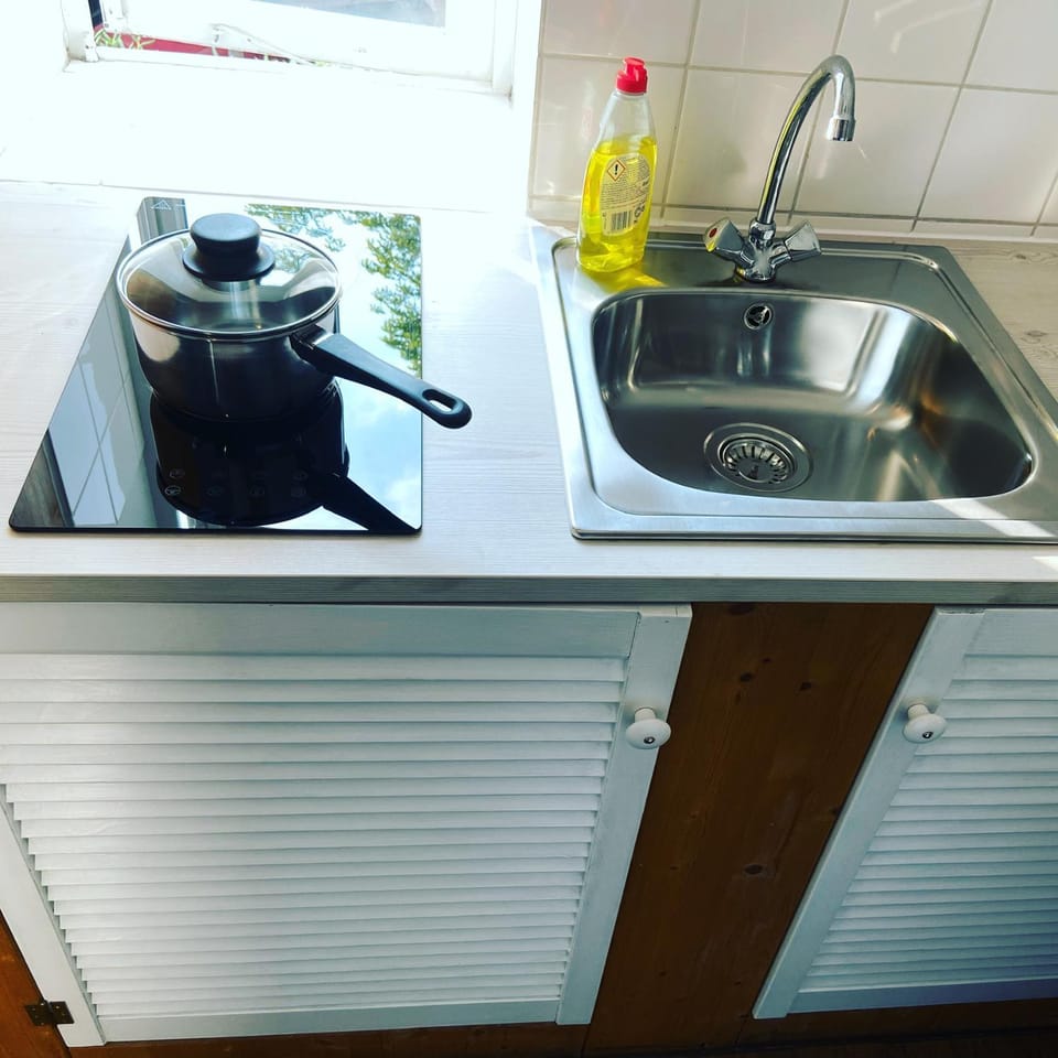 Kitchen or kitchenette, stove, kitchen