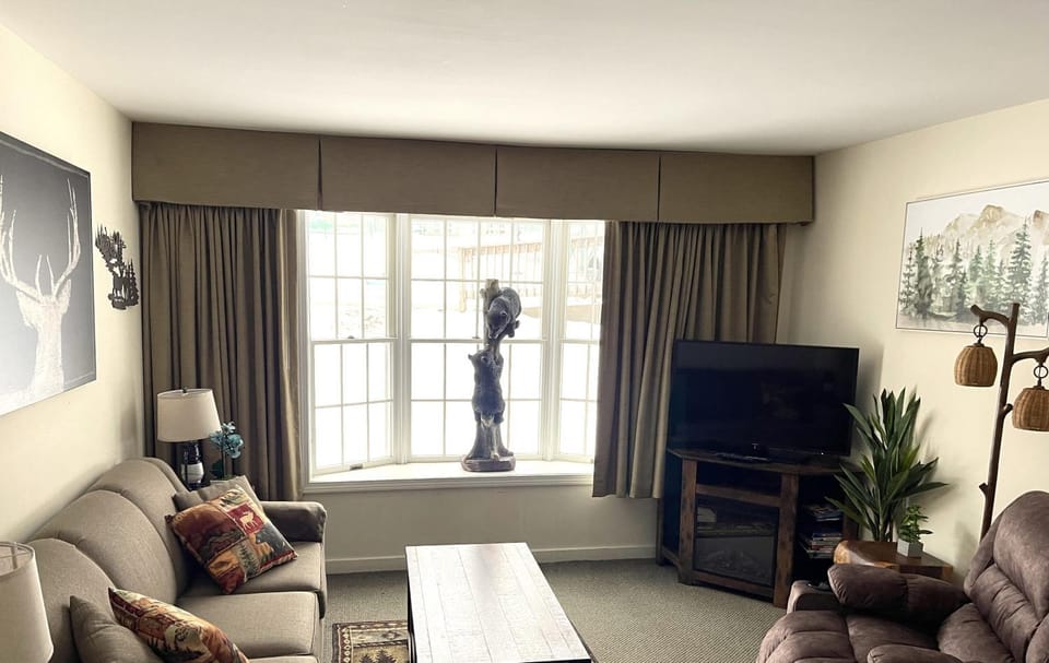 Mountain View Suite Sleeps 4 Ski OnOff Jiminy Peak Apartment in Lanesborough