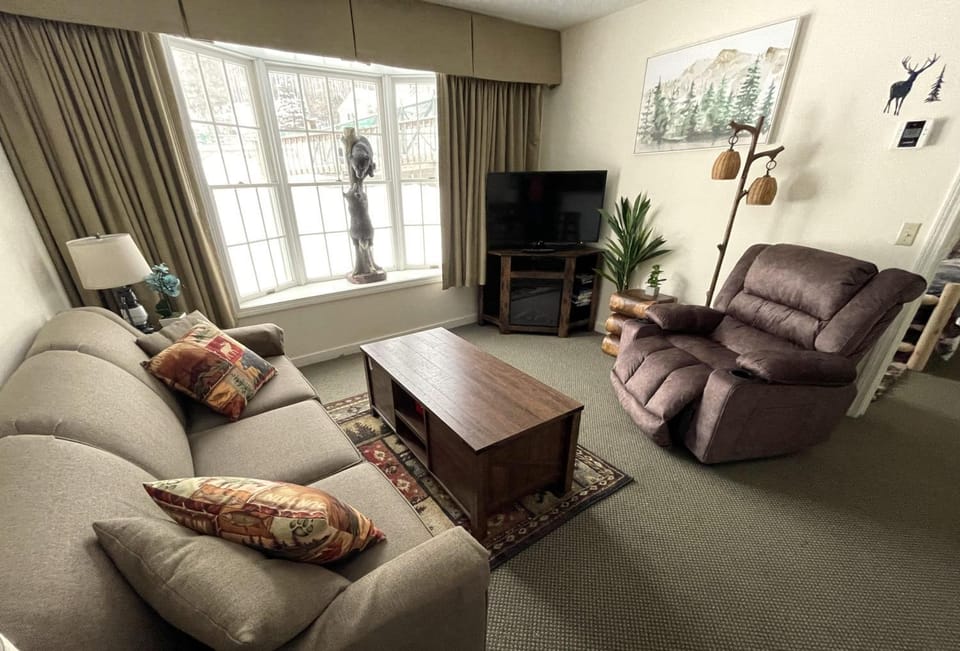 Mountain View Suite Sleeps 4 Ski OnOff Jiminy Peak Apartment in Lanesborough